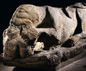 Cramond lioness