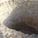 Water cistern