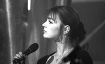 The Primitives