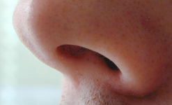 Nose