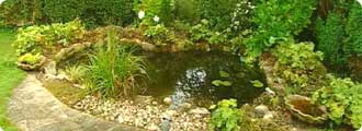 Alan's pond