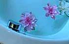 Bathrooms (Image: bath detail)