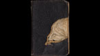 Front view of a bible with bullet hole