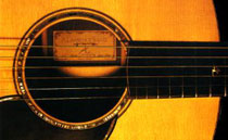 Guitar