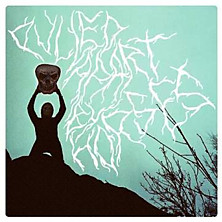 Review of Pulled Apart By Horses