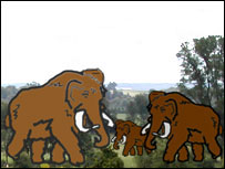 Mammals