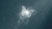 By tv light---...