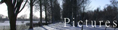 Pictures