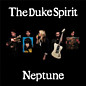 Review of Neptune