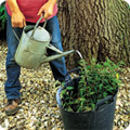 Watering containers