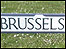 Brussels Way