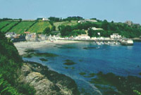 Jersey