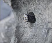 Lead plug