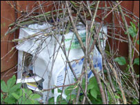 A hedgehog home