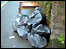 Discarded black bags of rubbish