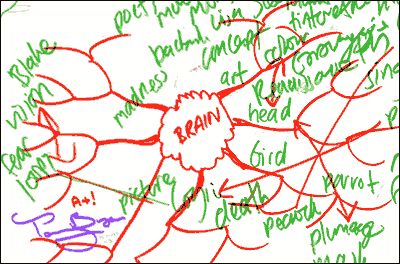 Ian's 'Mind Map'