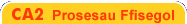 CA2 Prosesau Ffisegol