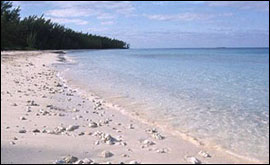 beach