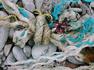 'Tidal Treasures Breakwater Beach' by Sylvia Gilmore