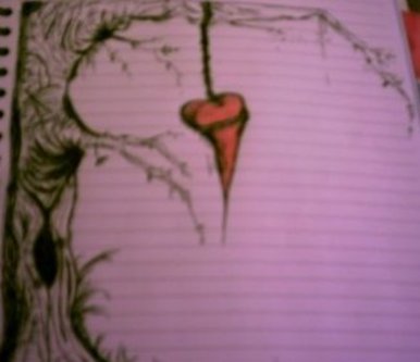 Bleeding heart