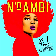 Review of Pink Elephant
