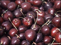 cherry