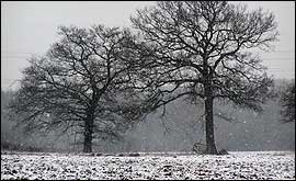 Snow