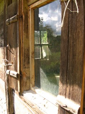 Window
