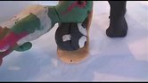 Animation