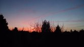 Dusk Dusk