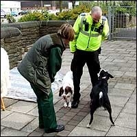 People and dogs 203