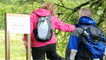 Weatherman Walking