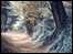 Autumn North Downs by Monty Parkin