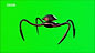 Watch: Spiders 