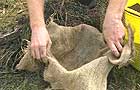 Lining the pot