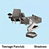 Review of Shadows