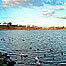 The Black Lough, Dungannon