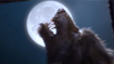 Take a moonlight stroll through our latest gallery