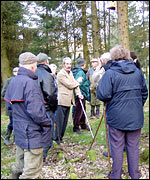 Group of walkers