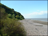 Culver Cliff