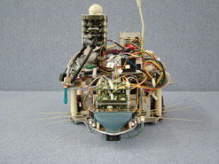 A Whiskerbot ...