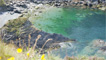 Pristine coves and bays