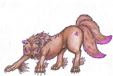 Ty-Ohni wolf