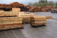 Ystordy Coed