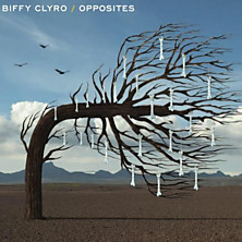 Review of Opposites 