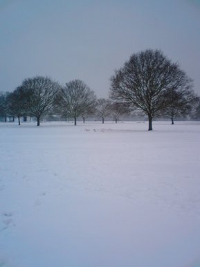 Snow!