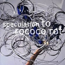 Review of Speculation