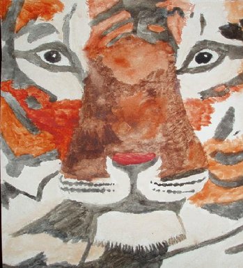 Staring Tiger