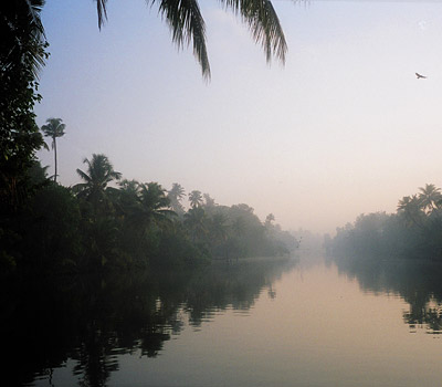 Cochin