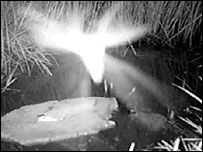 Ottercam View